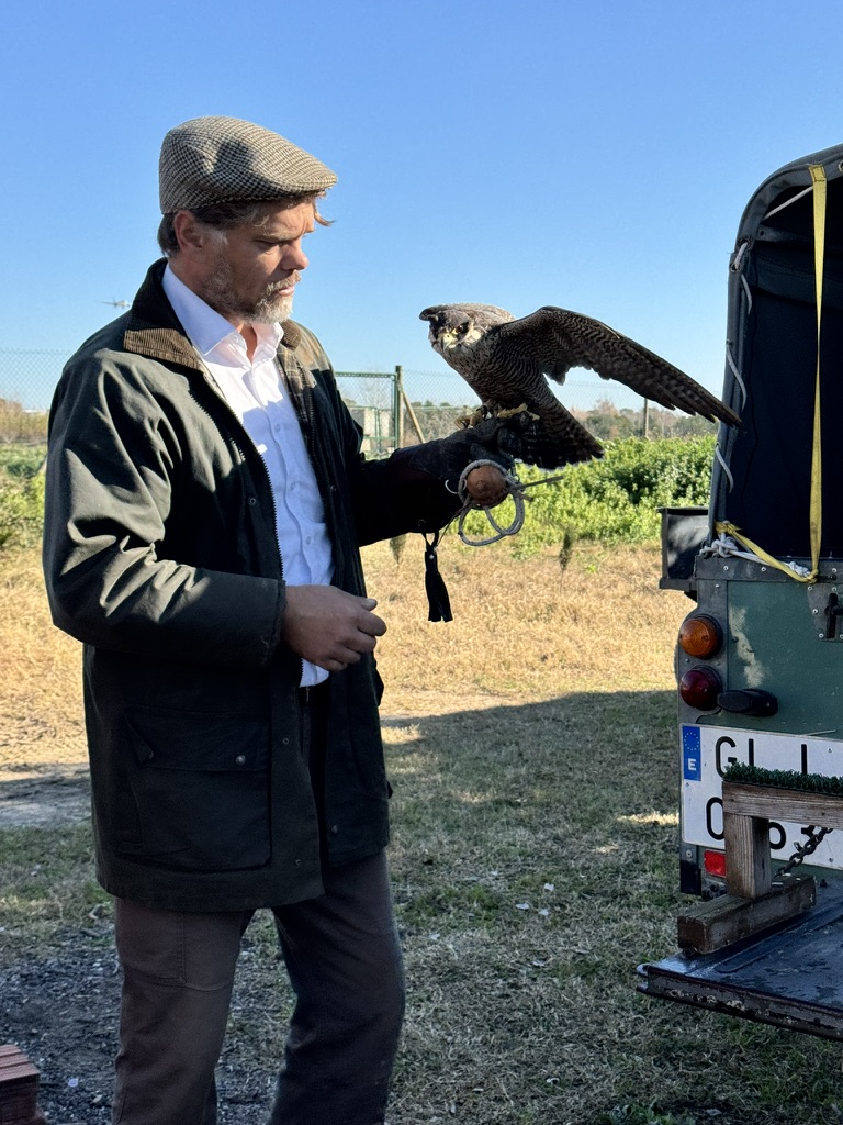 the falconer
