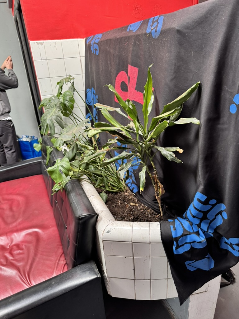 plants at foc